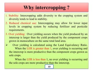 Why intercropping ?
1. Stability: Intercropping adds diversity to the cropping system and
diversity tends to lead to stability.
2. Reduced chemical use: Intercropping may allow for lower input
levels in cropping system by reducing fertilizer and pesticide
requirements.
3. Over yielding: Over yielding occurs when the yield produced by an
intercrop is larger than the yield produced by the component crops
grown in monoculture on the same total land area.
 Over yielding is calculated using the Land Equivalency Ratio.
When the LER is greater than 1, over yielding is occurring and
the intercrop is more productive than the component crops grown as
sole crops.
When the LER is less than 1, no over yielding is occurring and
the sole crops are more productive than the intercrop.
13
 