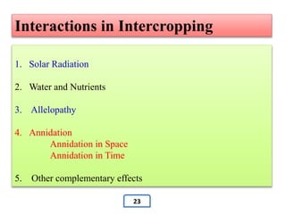1. Solar Radiation
2. Water and Nutrients
3. Allelopathy
4. Annidation
Annidation in Space
Annidation in Time
5. Other complementary effects
Interactions in Intercropping
23
 
