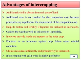  Additional yield is obtain from unit area of land .
 Additional care is not needed for the companion crop because
principle crop supplement the requirement of the companion crop.
 Helps to restore soil fertility, if legumes are included as inter crops.
 Control the weed as well as soil erosion is possible.
 Intercrop provide shade and support to the other crop.
 Practiced as an insurance against crop failure under rainfed
condition.
 Utilizes resources efficiently and productivity is increased.
 Intercropping with cash crops is highly profitable.
Advantages of intercropping
24
 