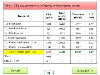 Treatment
CEY
(kg/ha)
Gross
returns
(Rs/ha)
Net returns
(Rs/ha)
B: C
ratio
T1 : Sole Castor 1031 16496 6632 1.67
T2 : Sole Indian bean 625 10000 1517 1.18
T3 : Sole Cow pea 602 9632 1149 1.14
T4 : Sole Green gram 745 11872 3389 1.40
T5 : Castor + Indian bean (1:2) 1275 20400 8567 1.72
T6 : Castor + Cowpea (1:2) 1345 21520 9687 1.82
T7 : Castor + Green gram (1:2) 1678 26848 15015 2.27
SEm± 0.04 - - -
CD ( P = 0.05) 0.11 - - -
Table 4: CEY and economics as influenced by intercropping system
Navsari Vasava (2008)
29
 