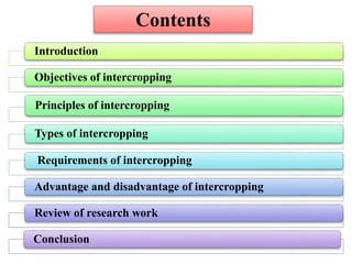 Introduction
Objectives of intercropping
Principles of intercropping
Types of intercropping
Requirements of intercropping
Advantage and disadvantage of intercropping
Review of research work
Conclusion
Contents
 