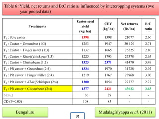 Treatments
Castor seed
yield
(kg/ ha)
CEY
(kg/ ha)
Net returns
(Rs/ ha)
B:C
ratio
T1 : Sole castor 1398 1398 21077 2.60
T2 : Castor + Groundnut (1:3) 1253 1947 30 129 2.71
T3 : Castor + Finger millet (1:3) 1132 1665 26225 2.80
T4 : Castor + Kharif chickpea (1:3) 1225 1793 27378 2.65
T5 : Castor + Clusterbean (1:3) 1323 2371 41470 3.49
T6 : PR castor + Groundnut (2:4) 1334 1970 31728 2.92
T7 : PR castor + Finger millet (2:4) 1219 1767 28968 3.00
T8 : PR castor + Kharif chickpea (2:4) 1300 1854 27777 2.77
T9 : PR castor + Clusterbean (2:4) 1377 2421 43032 3.63
SEm.± 36 29 - -
CD (P=0.05) 108 85 - -
Table 6 :Yield, net returns and B:C ratio as influenced by intercropping systems (two
year pooled data)
Bengaluru Mudalagiriyappa et al. (2011)
31
 