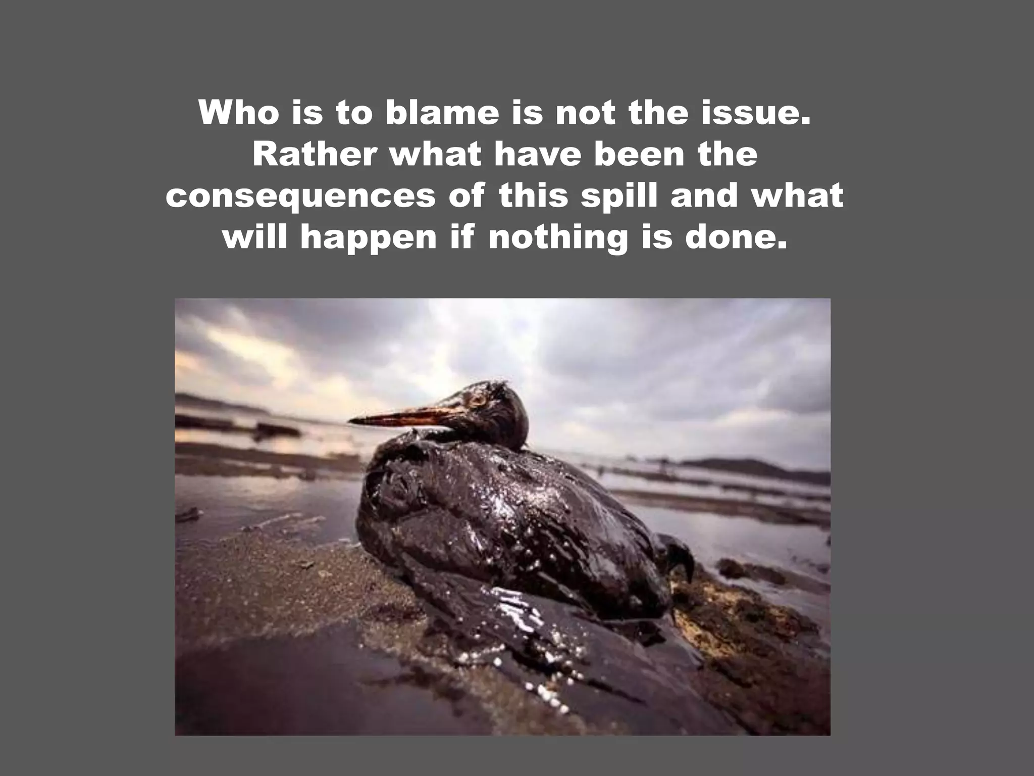 Who is to blame is not the issue. Rather what have been the consequences of this spill and what will happen if nothing is done.
