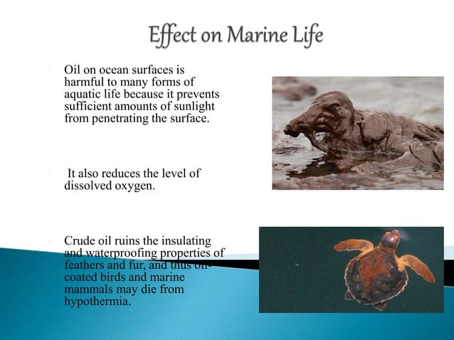 Oil spill (Causes, Control and Prevention) | PPTX