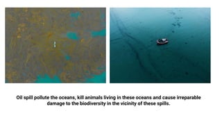 Oil spill pollute the oceans, kill animals living in these oceans and cause irreparable
damage to the biodiversity in the vicinity of these spills.
 