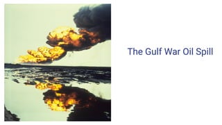 The Gulf War Oil Spill
 