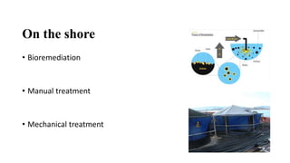 On the shore
• Bioremediation
• Manual treatment
• Mechanical treatment
 