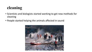 cleaning
• Scientists and biologists started working to get new methods for
cleaning
• People started helping the animals affected in sound
 