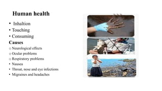 Human health
• Inhaltion
• Touching
• Consuming
Causes
o Neurological effects
o Ocular problems
o Respiratory problems
• Nausea
• Throat, nose and eye infections
• Migraines and headaches
 