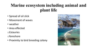 Marine ecosystem including animal and
plant life
• Spread of oil slick
• Movement of waves
• weather
• Area effected
oEstauries
oforeshore
• Proximity to bird breeding colony
 