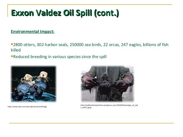 Effects of exxon oil spill on commercial fisheries