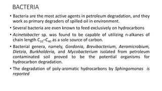 BACTERIA
• Bacteria are the most active agents in petroleum degradation, and they
work as primary degraders of spilled oil in environment.
• Several bacteria are even known to feed exclusively on hydrocarbons
• Acinetobacter sp. was found to be capable of utilizing n-alkanes of
chain length C10–C40 as a sole source of carbon.
• Bacterial genera, namely, Gordonia, Brevibacterium, Aeromicrobium,
Dietzia, Burkholderia, and Mycobacterium isolated from petroleum
contaminated soil proved to be the potential organisms for
hydrocarbon degradation.
• The degradation of poly-aromatic hydrocarbons by Sphingomonas is
reported
 