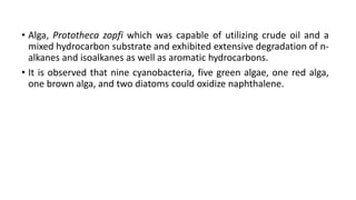 • Alga, Prototheca zopfi which was capable of utilizing crude oil and a
mixed hydrocarbon substrate and exhibited extensive degradation of n-
alkanes and isoalkanes as well as aromatic hydrocarbons.
• It is observed that nine cyanobacteria, five green algae, one red alga,
one brown alga, and two diatoms could oxidize naphthalene.
 
