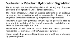 Mechanism of Petroleum Hydrocarbon Degradation
• The most rapid and complete degradation of the majority of organic
pollutants is brought about under aerobic conditions.
• The initial intracellular attack of organic pollutants is an oxidative
process and the activation as well as incorporation of oxygen is the
enzymatic key reaction catalyzed by oxygenases and peroxidases.
• Peripheral degradation pathways convert organic pollutants step by
step into intermediates of the central intermediary metabolism, for
example, the tricarboxylic acid cycle.
• Biosynthesis of cell biomass occurs from the central precursor
metabolites, for example, acetyl-CoA, succinate, pyruvate.
• Sugars required for various biosyntheses and growth are synthesized
by gluconeogenesis.
 