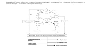 Biodegradation of aromatic hydrocarbons: metabolism begins with the activity of a monooxygenase [1] or a dioxygenase [2] which introduce one or
two atoms of oxygen; it can also begin with unspecific reactions [3]
 
