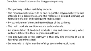 Complete mineralization or the dioxygenase pathway
• This pathway is taken mainly by bacteria.
• The monoaromatic molecule or one ring of the polyaromatic system is
attacked by a dioxygenase, and the molecule is oxidized stepwise via
formation of a diol and subsequent ring cleavage.
• Pyruvate is one of the main intermediates of the pathway.
• The main products are biomass and carbon dioxide.
• An accumulation of dead-end products is rare and occurs mostly when
cells are deficient in their degradation pathway.
• The disadvantage of this pathway is that only ring systems of up to
four rings are mineralized.
• Systems with a higher number of rings seem to be recalcitrant
 