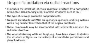 Unspecific oxidation via radical reactions
• It includes the attack of phenolic molecule structure by a nonspecific
action, thus also attacking other aromatic structures such as PAH.
• The type of cleavage product is not predictable.
• Frequent metabolites of PAHs are quinones, quinoles, and ring systems
with a ring number lower than that of the original substance.
• These compounds may be incorporated into sediments and alter the
sediment structure.
• The wood-destroying white rot fungi, e.g., have been shown to destroy
the structure of lignin via the activity of extracellular peroxidases and
phenol oxidases.
 