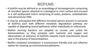 BIOFILMS
• A biofilm may be defined as an assemblage of microorganisms comprising
of microbial species attached to a biological or inert surface and encased
in a self-synthesized matrix comprising of water, proteins, carbohydrates
and extracellular DNA.
• It may be anticipated that different microbial species present in consortia
of biofilms each with different metabolic degradation pathway are
capable of degrading several pollutants either individually or collectively.
• Biofilm forming bacteria are adapted to survive and suited for
bioremediation as they compete with nutrients and oxygen and
observations of tolerance of biofilms towards harsh environment found
way in the process of bioremediation.
• Biofilm mediated remediation is environment friendly and cost effective
option for cleaning up environmental pollutants.
 