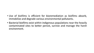 • Use of biofilms is efficient for bioremediation as biofilms absorb,
immobilize and degrade various environmental pollutants.
• Bacterial biofilms exist within indigenous populations near the heavily
contaminated sites to better persist, survive and manage the harsh
environment.
 