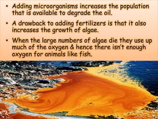 • Adding microorganisms increases the population
that is available to degrade the oil.
• A drawback to adding fertilizers is that it also
increases the growth of algae.

• When the large numbers of algae die they use up
much of the oxygen & hence there isn’t enough
oxygen for animals like fish.

 
