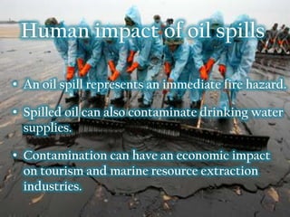 Human impact of oil spills
• An oil spill represents an immediate fire hazard.
• Spilled oil can also contaminate drinking water
supplies.
• Contamination can have an economic impact
on tourism and marine resource extraction
industries.

 