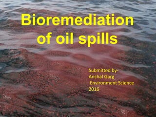 Bioremediation
of oil spills
Submitted by-
Anchal Garg
Environment Science
2016
 