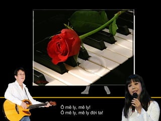 Ô mê ly, mê ly! Ô mê ly, mê ly đời ta! 