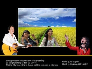 Đứng giữa cánh đồng nhìn ánh nắng phớt hồng Có tiếng hát chòng từ đám lúa lướt về Thoáng thấy tiếng nàng và thoáng có tiếng cười, đàn ta hòa vang Ô mê ly, tơ duyên! Ô mê ly, khúc ca triền miên! 