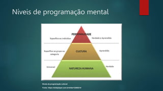 Níveis de programação mental
Níveis de programação cultural
Fonte: https://slideplayer.com.br/slide/12265214/
 