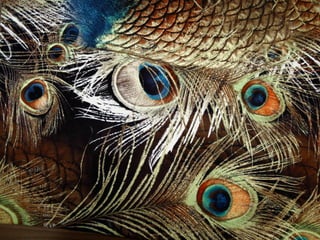 O impacto estético das mudanças tecnológicas