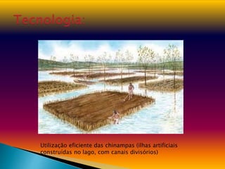 Utilização eficiente das chinampas (ilhas artificiais
construídas no lago, com canais divisórios)
 