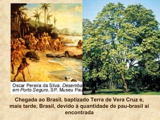 Chegada ao Brasil, baptizado Terra de Vera Cruz e,
mais tarde, Brasil, devido à quantidade de pau-brasil aí
encontrada
 