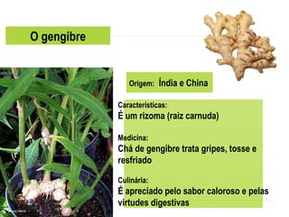 O gengibre
Origem: Índia e China
Características:
É um rizoma (raiz carnuda)
Medicina:
Chá de gengibre trata gripes, tosse e
resfriado
Culinária:
É apreciado pelo sabor caloroso e pelas
virtudes digestivas
 
