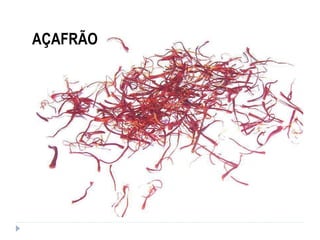 AÇAFRÃO
 