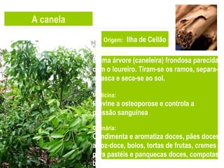 A canela
Origem: Ilha de Ceilão
Características:
É uma árvore (caneleira) frondosa parecida
com o loureiro. Tiram-se os ramos, separa-se
a casca e seca-se ao sol.
Medicina:
Previne a osteoporose e controla a
pressão sanguínea
Culinária:
Condimenta e aromatiza doces, pães doces,
arroz-doce, bolos, tortas de frutas, cremes
para pastéis e panquecas doces, compotas e
bebidas quentes como o chocolate e o café.
 