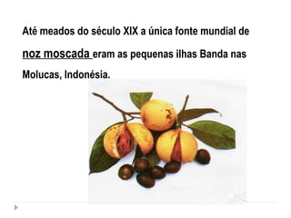 Até meados do século XIX a única fonte mundial de
noz moscada eram as pequenas ilhas Banda nas
Molucas, Indonésia.
 