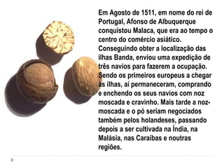 Em Agosto de 1511, em nome do rei de
Portugal, Afonso de Albuquerque
conquistou Malaca, que era ao tempo o
centro do comércio asiático.
Conseguindo obter a localização das
ilhas Banda, enviou uma expedição de
três navios para fazerem a ocupação.
Sendo os primeiros europeus a chegar
às ilhas, aí permaneceram, comprando
e enchendo os seus navios com noz
moscada e cravinho. Mais tarde a noz-
moscada e o pó seriam negociados
também pelos holandeses, passando
depois a ser cultivada na Índia, na
Malásia, nas Caraíbas e noutras
regiões.
 