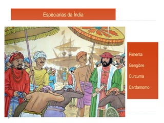 Especiarias da Índia Pimenta Gengibre Curcuma Cardamomo 