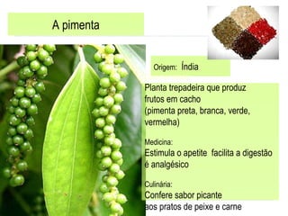 A pimenta Origem:   Índia Características: Planta trepadeira que produz  frutos em cacho  (pimenta preta, branca, verde,  vermelha) Medicina:  Estimula o apetite  facilita a digestão é analgésico  Culinária: Confere sabor picante  aos pratos de peixe e carne  