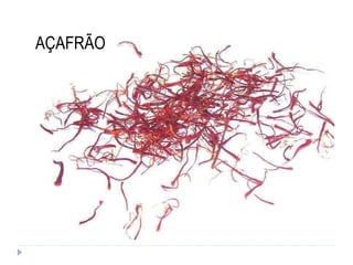 AÇAFRÃO 