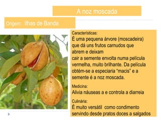 A noz moscada Origem:   Ilhas de Banda Características: É uma pequena árvore (moscadeira)  que dá uns frutos carnudos que  abrem e deixam  cair a semente envolta numa película  vermelha, muito brilhante. Da película  obtém-se a especiaria “macis” e a  semente é a noz moscada.  Medicina:  Alivia náuseas a e controla a diarreia  Culinária: É muito versátil  como condimento  servindo desde pratos doces a salgados  