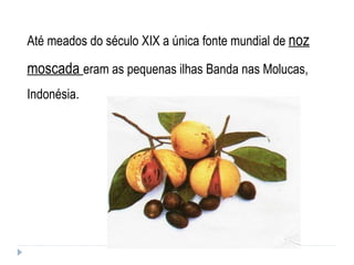 Até meados do século XIX a única fonte mundial de  noz moscada  eram as pequenas ilhas Banda nas Molucas, Indonésia.  