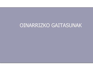 OINARRIZKO GAITASUN AK   