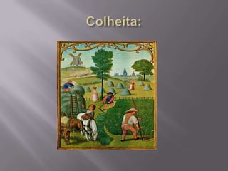 O início do feudalismo