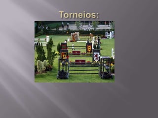 O início do feudalismo