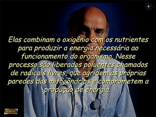 Elas combinam o oxigênio com os nutrientesElas combinam o oxigênio com os nutrientes
para produzir a energia necessária aopara produzir a energia necessária ao
funcionamento do organismo. Nessefuncionamento do organismo. Nesse
processo são liberados poluentes chamadosprocesso são liberados poluentes chamados
de radicais livres, que agridem as própriasde radicais livres, que agridem as próprias
paredes das mitocôndrias e comprometem aparedes das mitocôndrias e comprometem a
produção de energia.produção de energia.
 