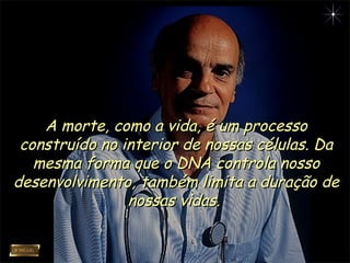 A morte, como a vida, é um processoA morte, como a vida, é um processo
construído no interior de nossas células. Daconstruído no interior de nossas células. Da
mesma forma que o DNA controla nossomesma forma que o DNA controla nosso
desenvolvimento, também limita a duração dedesenvolvimento, também limita a duração de
nossas vidas.nossas vidas.
 
