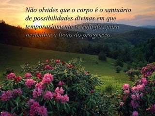 Não olvides que o corpo é o santuário  de possibilidades divinas em que  temporariamente te refugias para  assimilar a lição do progresso. 