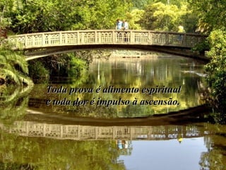 Toda prova é alimento espiritual  e toda dor é impulso à ascensão. 