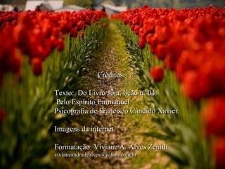 Créditos: Texto:  Do Livro Jóia, lição nº 04. Pelo Espírito Emmanuel  Psicografia de Francisco Cândido Xavier. Imagens da internet Formatação: Viviane A. Alves Zenith [email_address] 